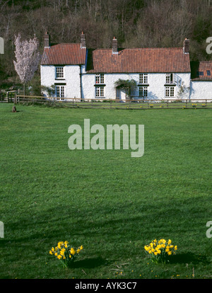 Weiß getünchtes Steinhaus, rievaulx Dorf, Roggen Dale, in der Nähe von Helmsley, North York Moors, North Yorkshire, England, UK. Stockfoto