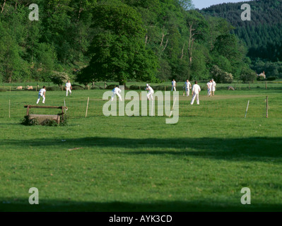 Dorf Cricket match, Rievaulx Dorf, Roggen Dale, in der Nähe von Helmsley, North Yorkshire, England, UK Stockfoto