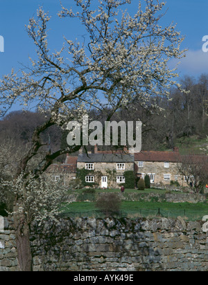 Stone Cottages im Frühling, rievaulx Dorf, Roggen Dale, in der Nähe von Helmsley", North York Moors", North Yorkshire, England, UK. Stockfoto