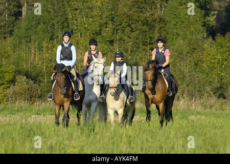 vier junge Reiter tragen Reiten Hüte und Beschützer der Körper während der Fahrt aus Stockfoto