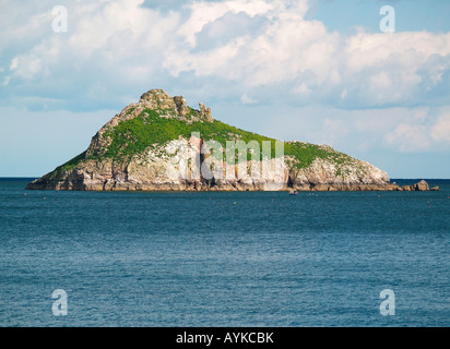 Thatcher Rock Torbay Devon England Stockfoto