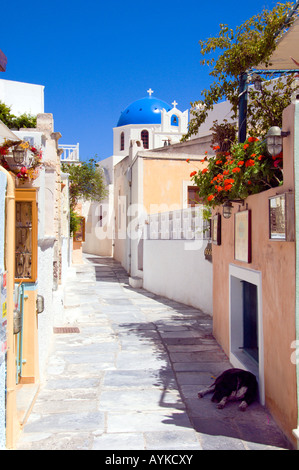 Typischen blauen Kuppelkirchen auf der Caldera Pisten von Oia auf der griechischen Insel Santorini Griechenland Stockfoto