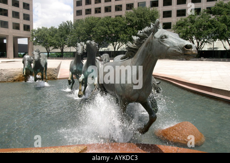 Mustangs Las Colinas Stockfoto