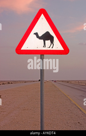 Warnschild "Camels Ahead" Stockfoto