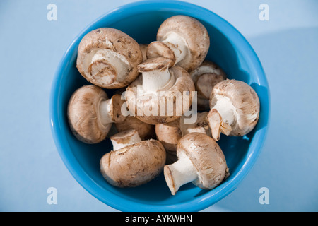 Eine Schüssel mit Crimini Pilze Stockfoto