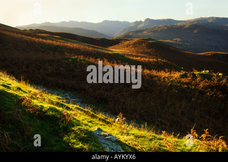 Blick vom Ewe Crag auf Loughrigg fiel in Richtung Crinkle Crags Nordwestgrat und Langdale Pikes Stockfoto