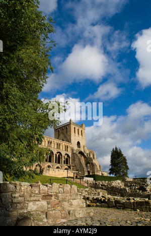 Jedburgh Abbey des 12. Jahrhunderts schottischen Grenze, gegründet von König David 1. als Verteidigungs- und sozialen Wirtschaftsmetropole Stockfoto