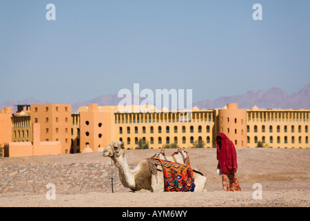 Taba Heights Golf von Aqaba Sinai Ägypten Kamel und Beduinen Frau am Strand mit Hotel im Resort am ägyptischen Roten Meer Riviera Stockfoto