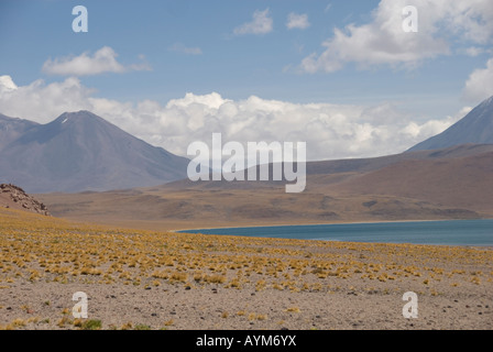 Atacama-Wüste Chiles Stockfoto