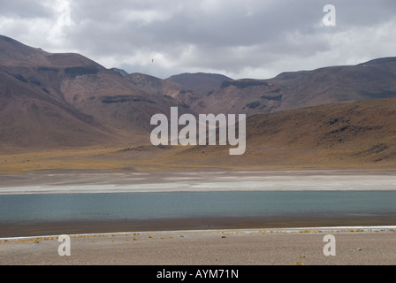 Atacama-Wüste Chiles Stockfoto