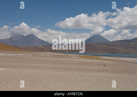 Atacama-Wüste Chiles Stockfoto