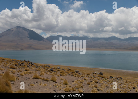 Atacama-Wüste Chiles Stockfoto