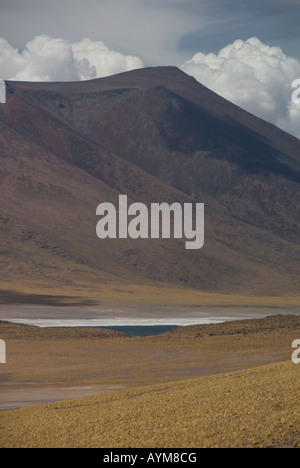 Atacama-Wüste Chiles Stockfoto