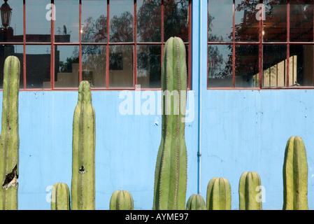 Museo Casa Estudio Diego Rivera y Frida Kahlo der Diego Rivera und Frida Kahlo Studio Museum Mexiko-Stadt mit Kaktus Zaun Stockfoto