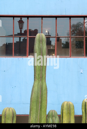 Museo Casa Estudio Diego Rivera y Frida Kahlo der Diego Rivera und Frida Kahlo Studio Museum Mexiko-Stadt mit Kaktus Zaun Stockfoto