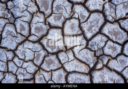 Detail aus direkt oberhalb des getrockneten rissige Erde oder Wattwanderungen mit Beschichtung aus Salz und gebleichte Chemikalien Stockfoto