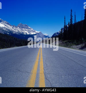 Icefield Parkway, Banff, Jasper Nationalpark, Alberta, Kanada Rocky Mountains. Foto: Willy Matheisl Stockfoto