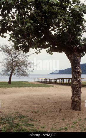 Ansicht des Malawi-Sees mit Seefisch Trocknen auf einem Gestell in der Nähe des Dorfes Chembe, Malawi-See, Cape Maclear, Malawi Stockfoto