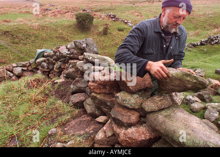 Trocknen Sie Stein Mauerwerk Spezialist Dave Hannaford bei der Arbeit auf der Challacombe Farm auf Dartmoor Devon UK Stockfoto