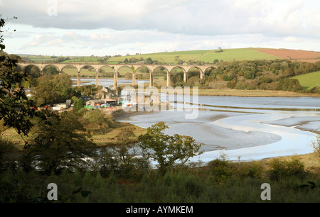 Calstock Eisenbahnviadukt über den Fluss Tamar, Cornwall, UK Stockfoto