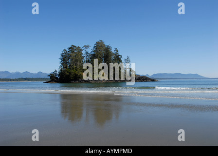 Long Beach Pacific Rim National Park Vancouver Island in British Columbia Kanada Stockfoto