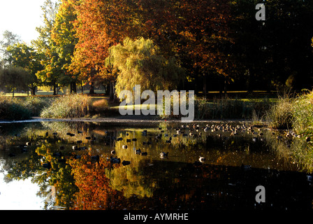 Jericho Beach Park Point Grey Vancouver British Columbia Kanada Stockfoto