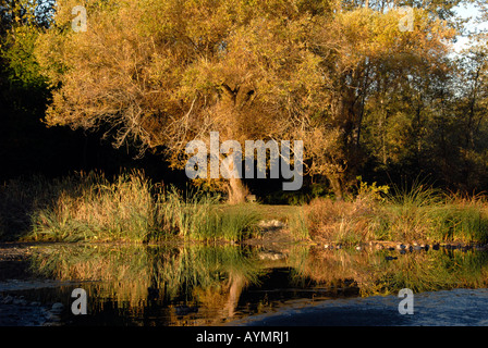 Jericho Beach Park Point Grey Vancouver British Columbia Kanada Stockfoto