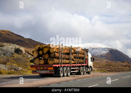 Glencoe in Lochaber, Schottische Highlands, Schottland. A82 Landstraßen-Holzfällertransporte Lay-by, Baumtransport, LKW-Industriedienstleistungen, Großbritannien Stockfoto