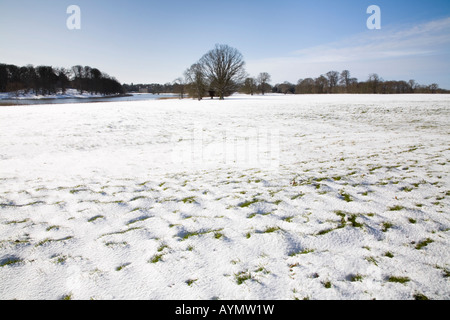 Einen schneebedeckten Feld Blickling im ländlichen England Norfolk im zeitigen Frühjahr Stockfoto