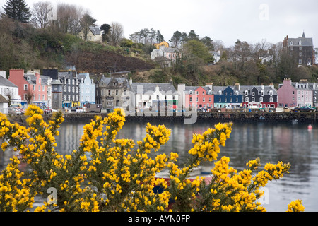 Haus und den Hafen von Tobermory, Balamory Isle of Mull, Argle, Schottland Großbritannien Stockfoto