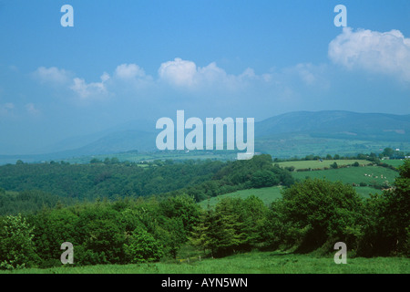 Blackstairs Mountains, Carlow/Wexford Grenze. Irland Stockfoto