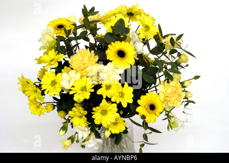 Ein Strauß Chrysanthemen Freesien und Gerbera Stockfoto