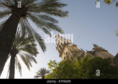 Glockenturm. Der Cordoba Kathedrale, Córdoba, Andalusien, Spanien Stockfoto