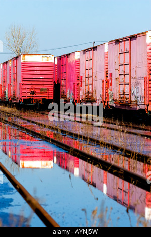 Alten Güterwagen lagern sich auf der Südseite von Chicago, IL. Stockfoto