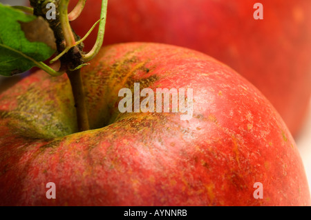 Nahaufnahme von Charles Ross roten Apfeläpfeln Obst in einer Obstschale Stockfoto