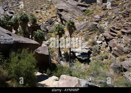 Indian Reservation Trails Felsen Weg Trail Stockfoto