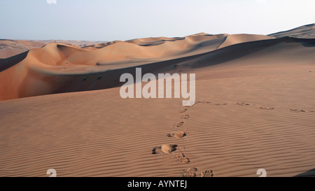 Fußabdrücke in den Sanddünen der Liwa Oasis, Empty Quarter, Western Region, Abu Dhabi Emirat, VAE. Stockfoto