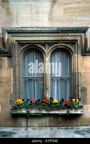 Architektonisches Detail Fenster Blumenkasten Stein Haus Europa Stockfoto
