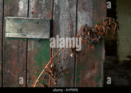 Gebäude Deralict heruntergekommen stillgelegtes schmuddelig verlassenen zerbrochenes Fenster Glas Spuk Renovierung Stockfoto