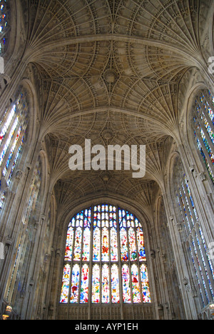 Fächergewölbe Kirchenschiff, King's College Chapel, King's College, Cambridge, Cambridgeshire, England, Vereinigtes Königreich Stockfoto