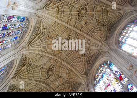 Fächergewölbe Kirchenschiff, King's College Chapel, King's College, Cambridge, Cambridgeshire, England, Vereinigtes Königreich Stockfoto