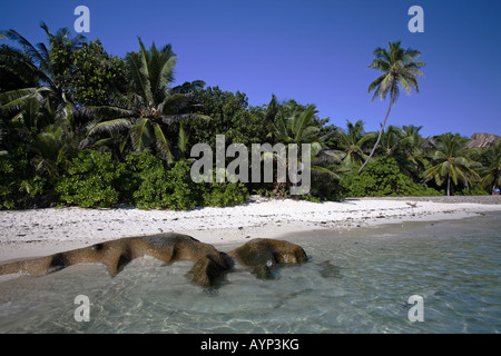 Anse Source d ' Argent, La Digue Island, Seychellen Stockfoto