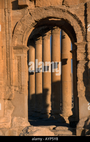 Syrien Middle East Central Tadmur Palmyra monumentale Bogen Rahmung Detail der Säulenstraße Stockfoto