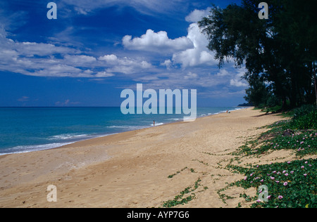 THAILAND Schlaganfallzentrum Asien Phuket Mai Khao Beach View entlang ruhiger Sandstrand umsäumt von Bäumen und Menschen im Meer in der Ferne Stockfoto