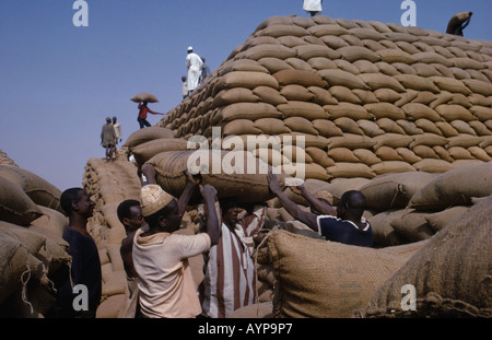 NIGERIA Westafrika Kano Landwirtschaft Beschäftigten Gebäude Pyramide der Säcke mit gemahlenen Nüssen Stockfoto