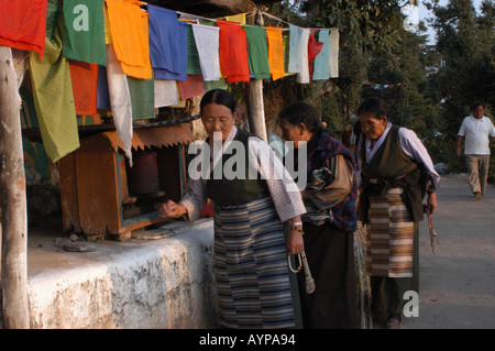 Tibetische Frauen mit traditionellen Schürzen drehen Gebetsmühlen Kora unterwegs in Dharamsala, Indien Stockfoto