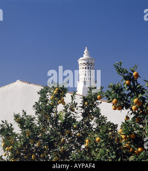 Portugal Algarve, ornamentale maurischen Schornstein auf Hütte mit Orangen- und Zitronenbäumen Baum Stockfoto