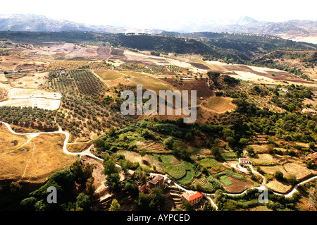 Aus der Vogelperspektive auf die ländliche Landschaft und die landwirtschaftlichen Felder in Ronda, Andalusien, Spanien, mit sanften Hügeln und fernen Bergen. Stockfoto