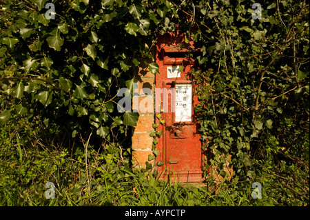 Ein wenig genutzt, aber noch aktive Post-Pocken, verlor fast hinter Grass, Brennnesseln und Efeu in der Nähe von Hanbury, Worcestershire anzeigen Stockfoto