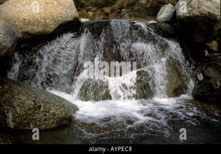 Kleiner Wasserfall, der über große Felsbrocken in einem natürlichen Gebirgsbach stürzt, erzeugt weißen Schaum und spritzendes Wasser. Stockfoto